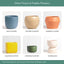 7 Inch (Set of Two) Melon Ceramic Planter. Classic Cylinder Plant Pot for House Plants and Indoor Plants (Drainage + Stopper Included).