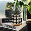 Set of 4 Stylish Ceramic Succulent Planter Pots with Drain Holes & Bamboo Trays – Perfect for Indoor & Outdoor Cacti and Flowers