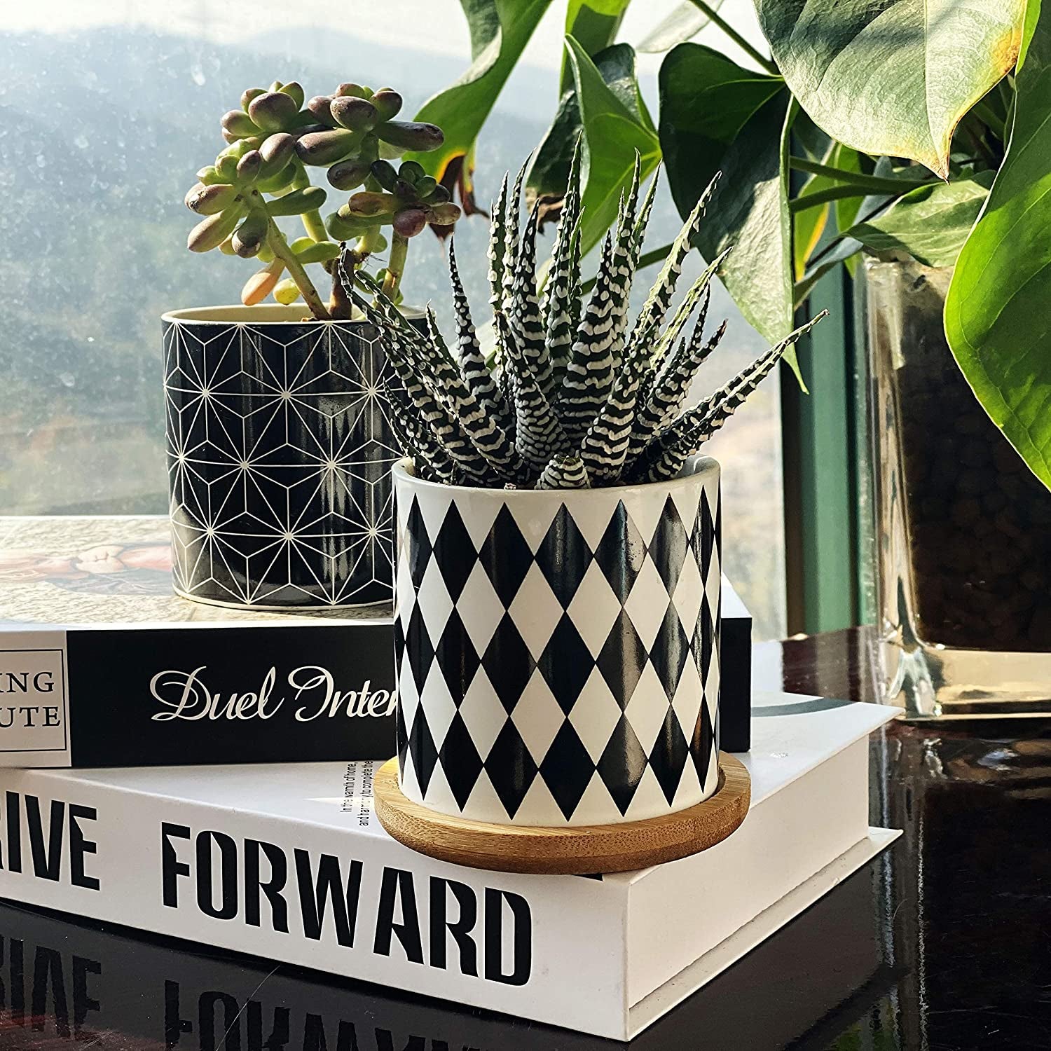 Set of 4 Stylish Ceramic Succulent Planter Pots with Drain Holes & Bamboo Trays – Perfect for Indoor & Outdoor Cacti and Flowers