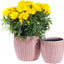 Chic Pink Ceramic Plant Pots - Set of 6.5" & 5.5" Indoor Planters with Drainage Holes