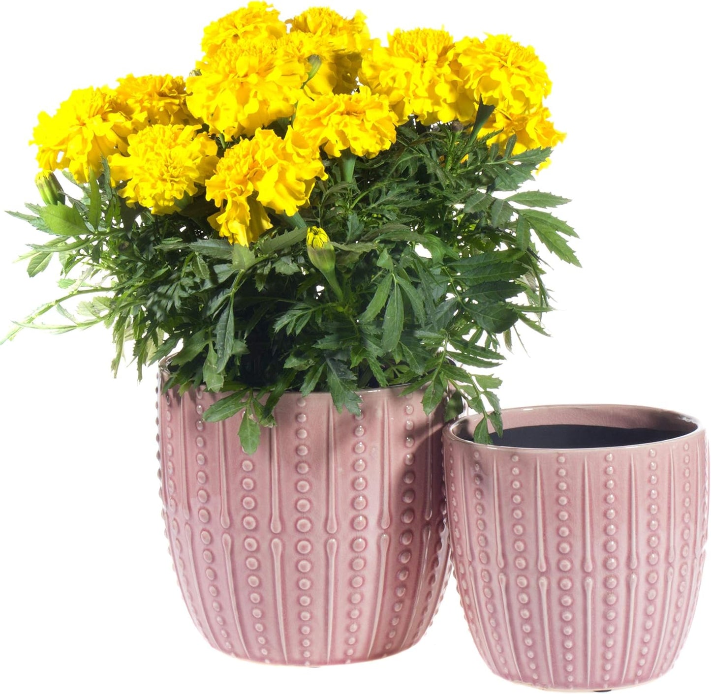 Chic Pink Ceramic Plant Pots - Set of 6.5" & 5.5" Indoor Planters with Drainage Holes