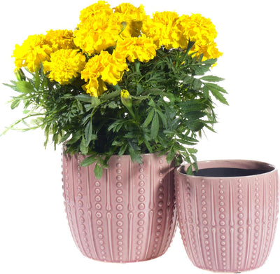 Chic Pink Ceramic Plant Pots - Set of 6.5" & 5.5" Indoor Planters with Drainage Holes