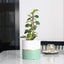 Stylish 4.7 Inch Ceramic Plant Pots for Home & Office - Matte Finish with Drainage Hole (Green, White & Gold Stripe)
