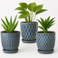 Ceramic Planter Set – 3 Pcs 4" Blue with Trays