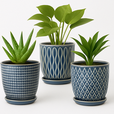 Ceramic Planter Set – 3 Pcs 4" Blue with Trays