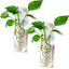 A 2-pack of clear glass cylinder terrariums, suitable for wall hanging and plant propagation.
