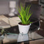 The 7.9-inch self-watering planter displayed in both gold and black finishes, showcasing its elegant and sleek design.