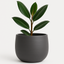 Modern Ceramic Pot – 12" Charcoal Gray