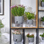 The five self-watering plastic pots arranged to clearly show the three different sizes (6, 4.1, and 3.2 inches) included in the pack.