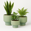 Modern Ceramic Planters – Round (3-Piece Set)