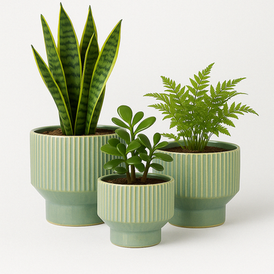 Modern Ceramic Planters – Round (3-Piece Set)