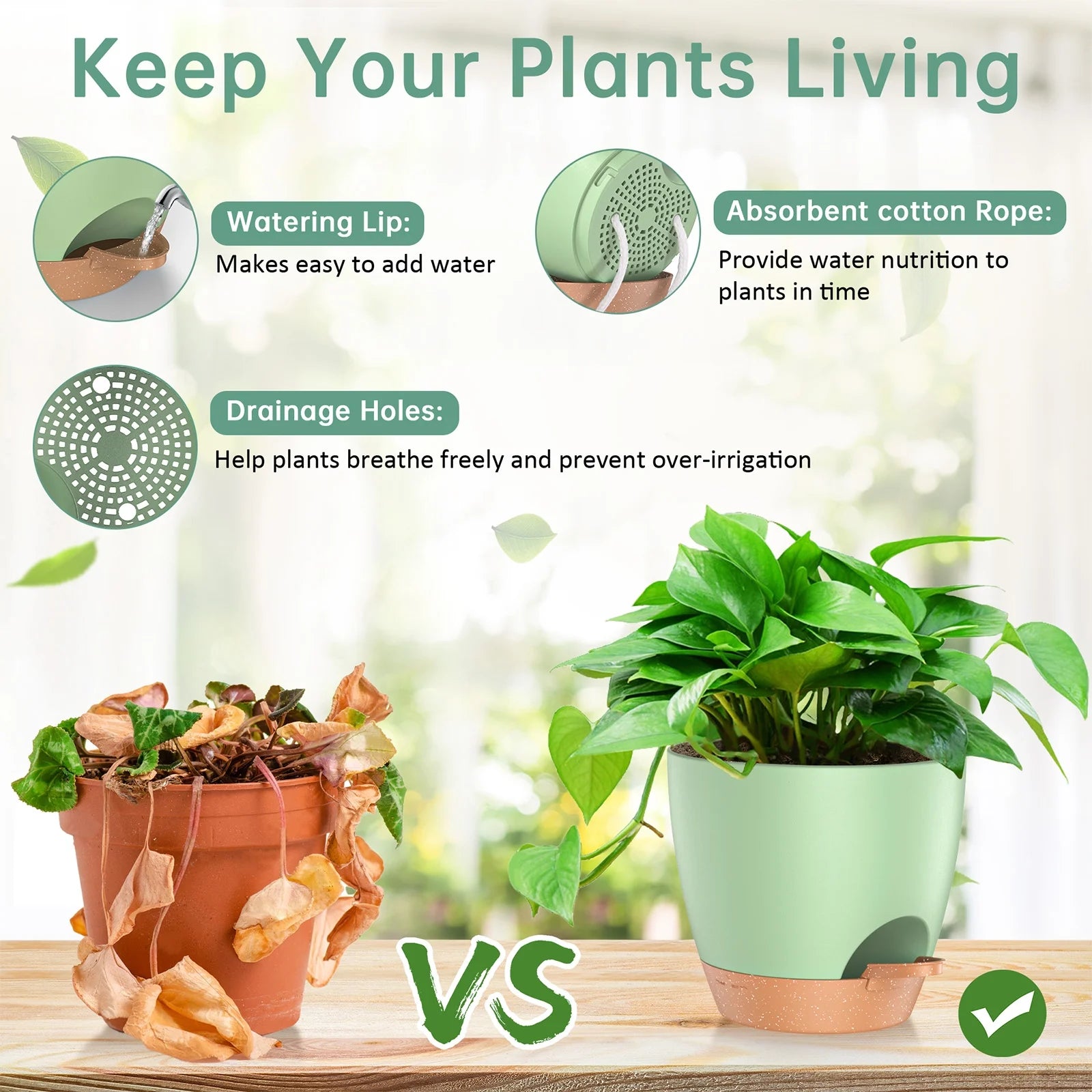 Image highlighting the unique perforated bottom design of the planter for optimal drainage.