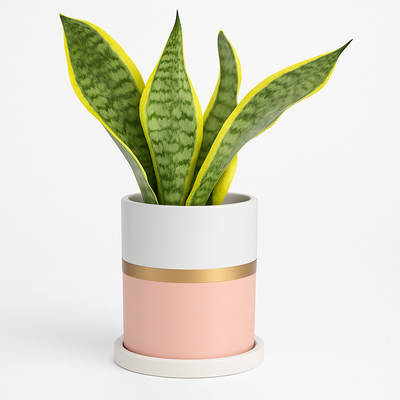 Modern Ceramic Pot – 4" Pink with Gold Accent