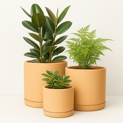 Rome Terracotta Planters – Set of 3