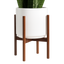A snake plant in a white ceramic planter with a mid-century modern wooden stand, displayed against a white background.








