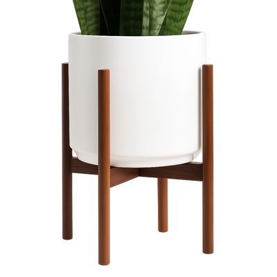 A snake plant in a white ceramic planter with a mid-century modern wooden stand, displayed against a white background.








