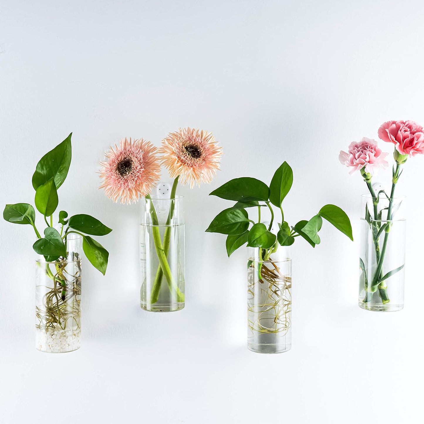 The cylinder glass planter placed on a desk or shelf, showcasing its versatility for both wall and tabletop display.