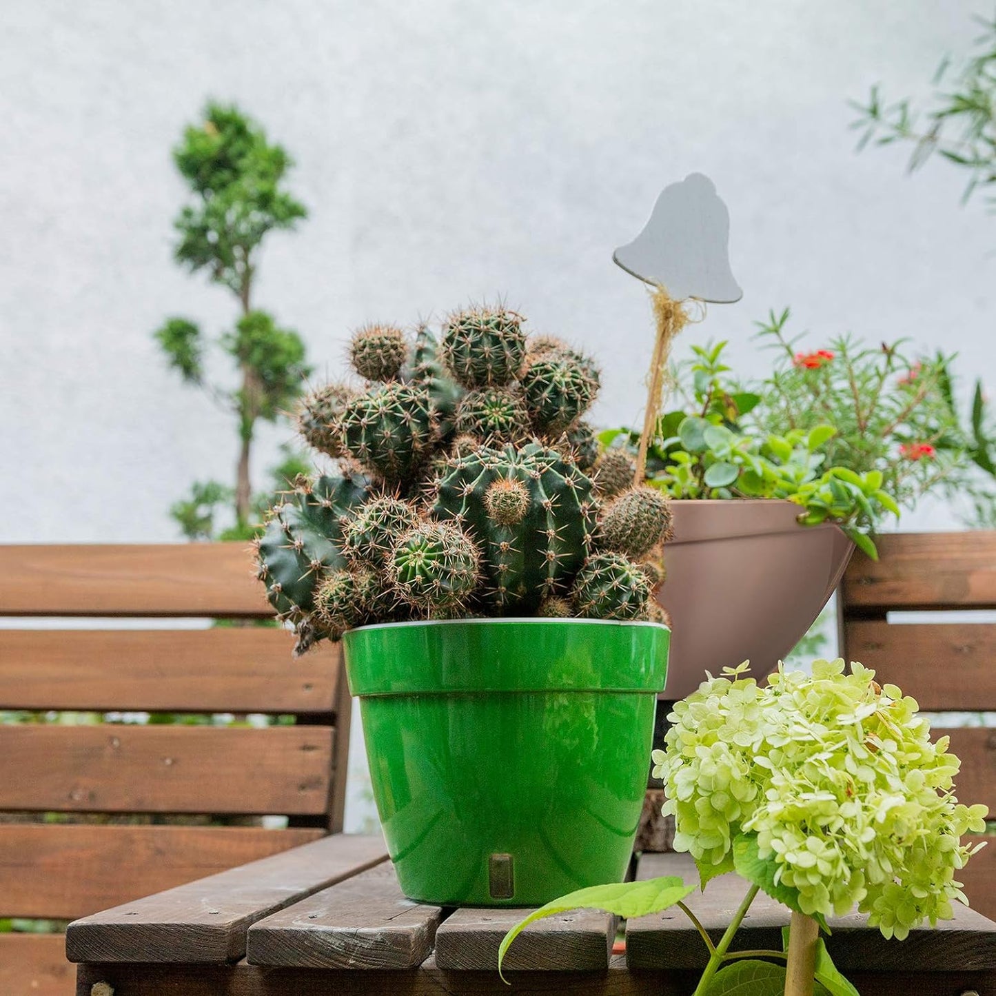 A vibrant house plant thriving in the 7.9-inch self-watering planter, placed as a decorative element in a home interior.
