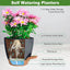 The self-watering planters displayed in different modern settings like an office desk, living room, or balcony with various plants.