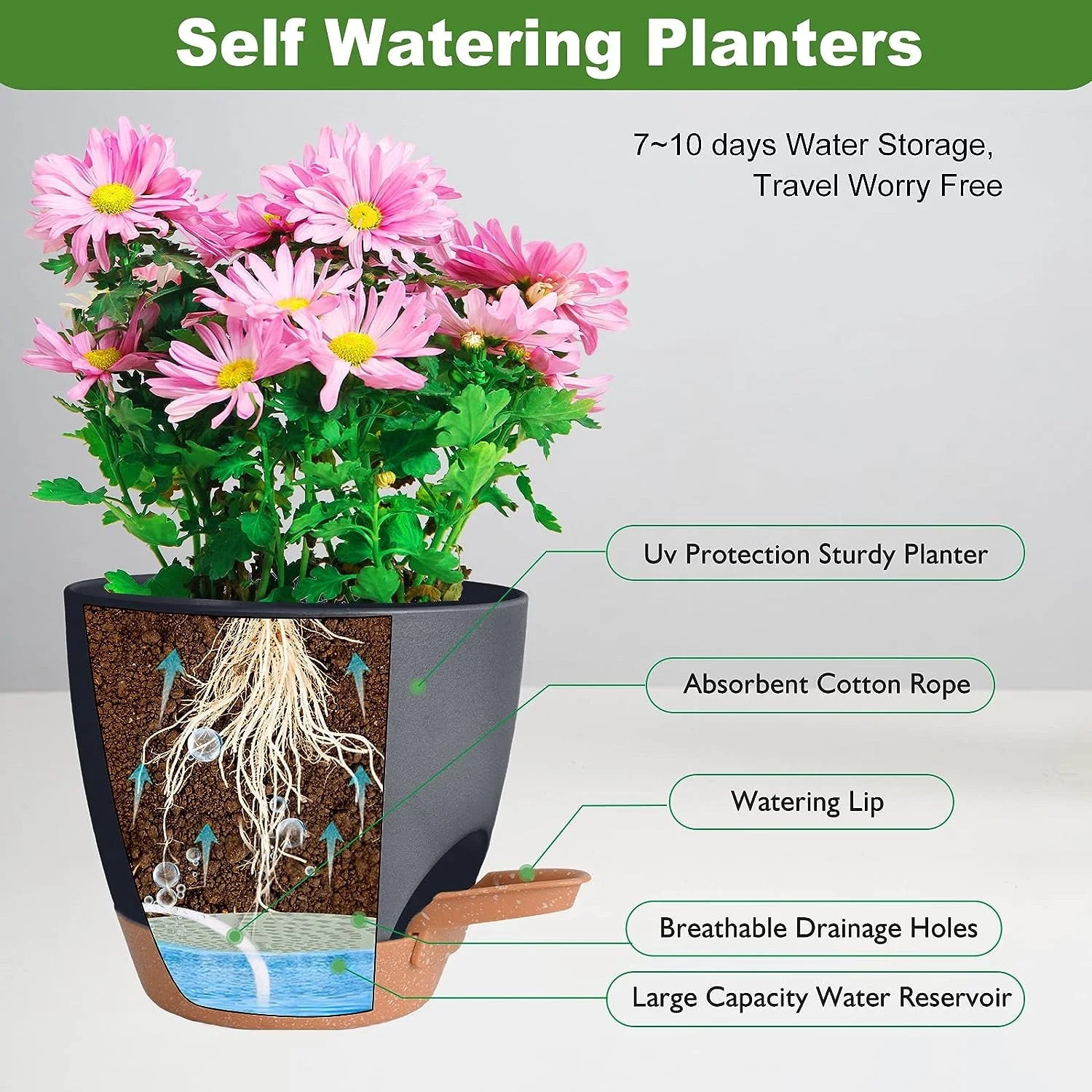 The self-watering planters displayed in different modern settings like an office desk, living room, or balcony with various plants.