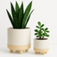 Modern Planters – 8" & 4" White & Sand on Legs