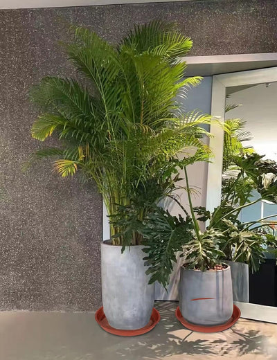 An 18-inch terracotta plant saucer with a large potted plant sitting on it, demonstrating its use for water collection.