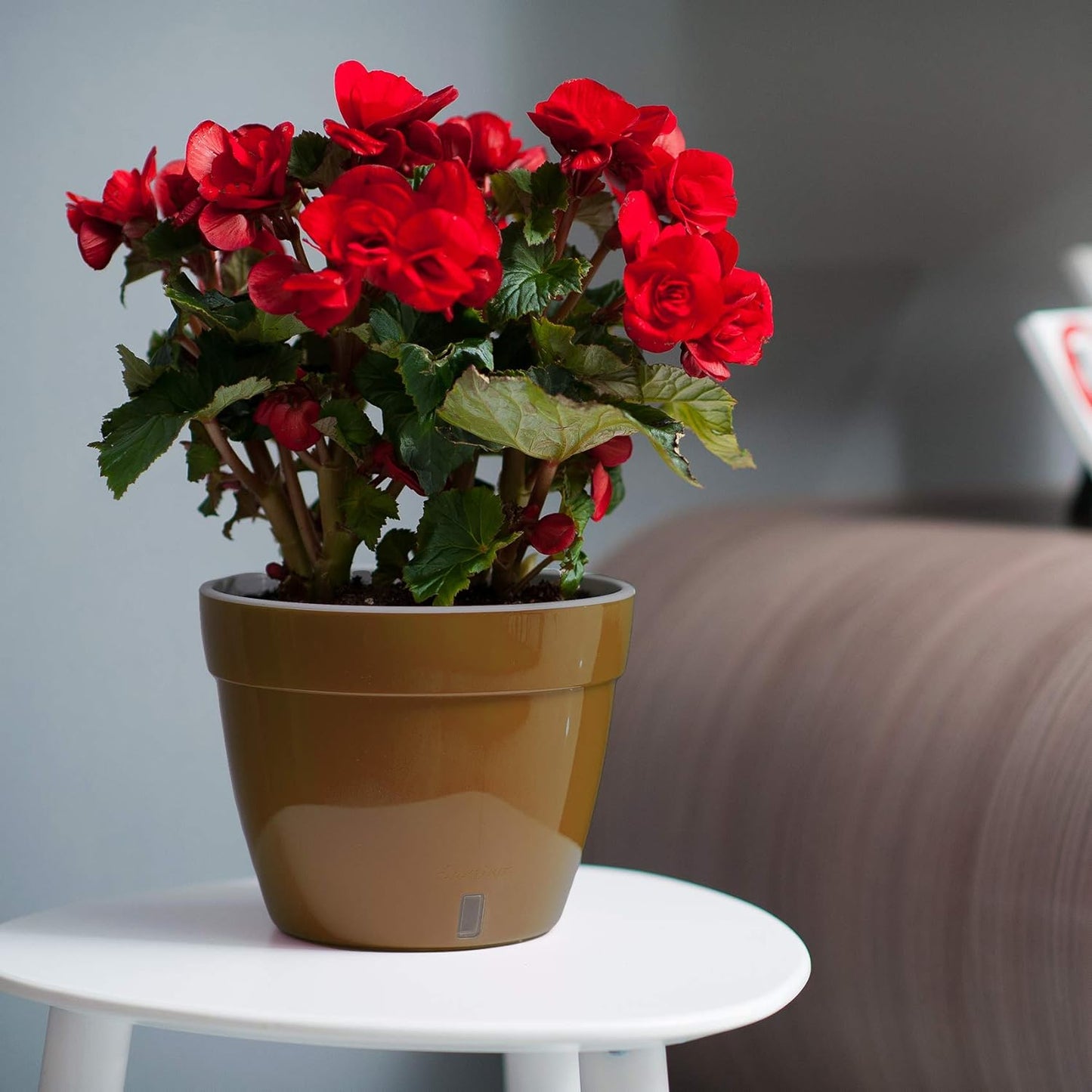 Close-up of the self-watering planter highlighting the built-in reservoir and the visible water level indicator.