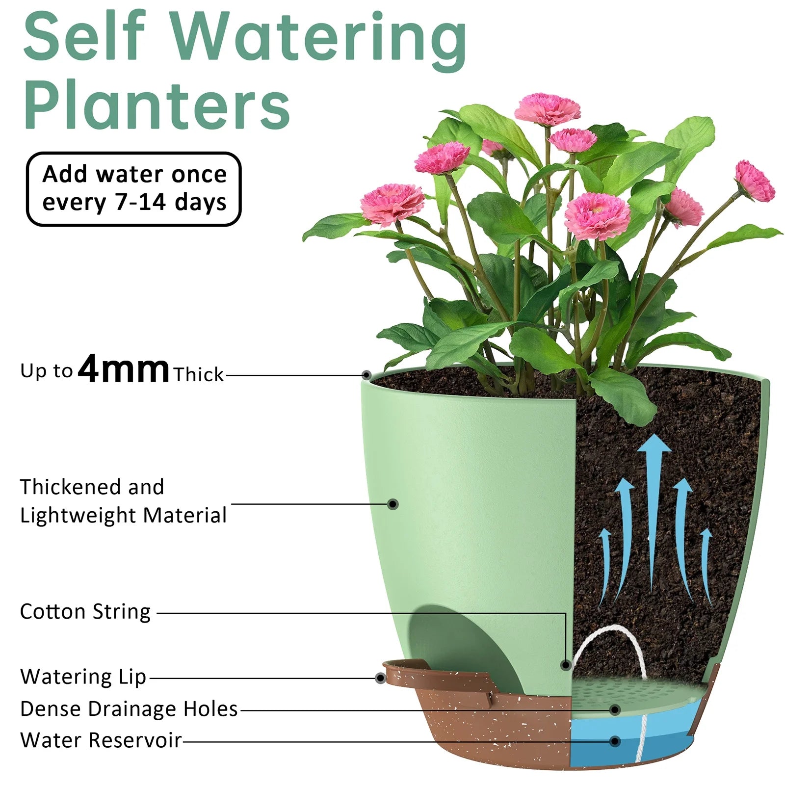 Close-up of a self-watering pot showing the detachable deep tray and absorbent cotton ropes for hydration.