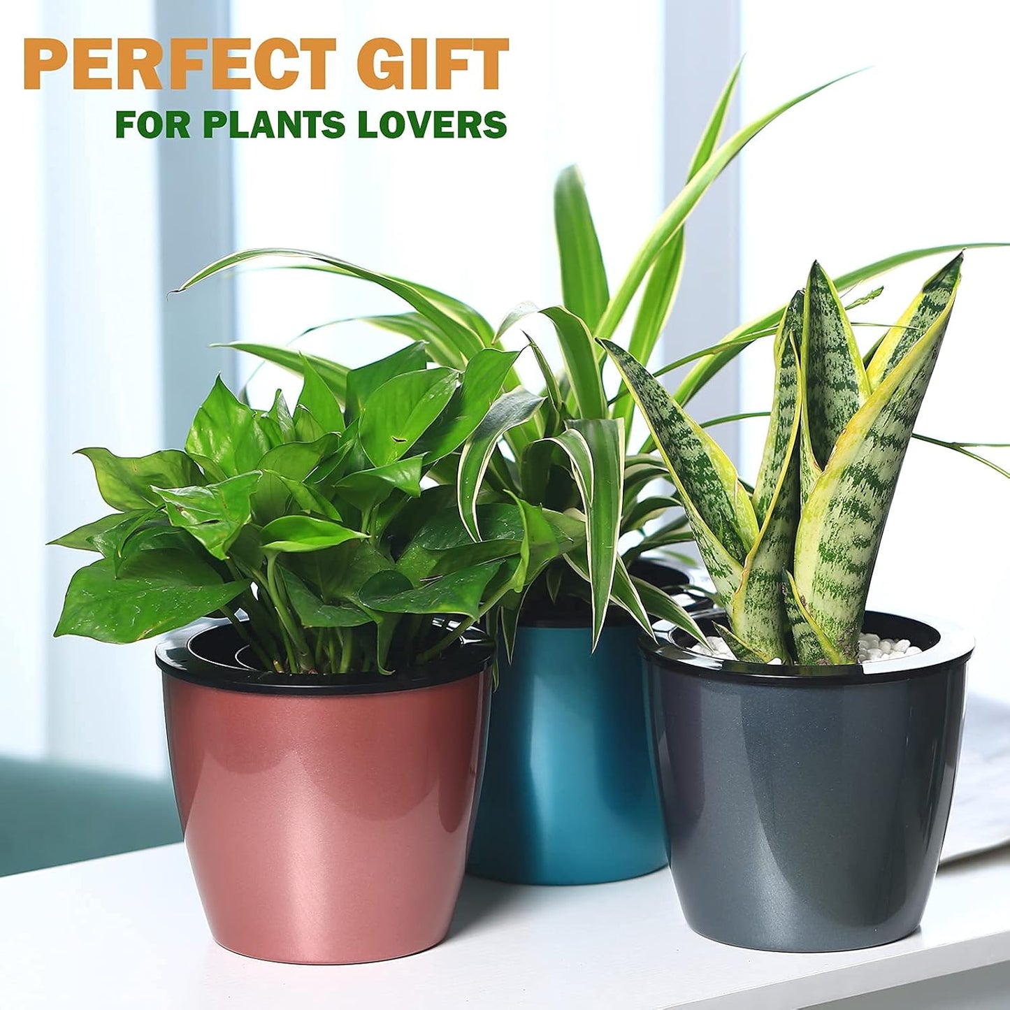 Close-up view of the self-watering pot showing the inner pot, outer pot with water level indicator, and cotton wick system.