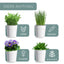  The three herb pots and tray laid out, with dimensions highlighted for both pots and tray.