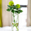 The glass planter terrarium mounted on a wall with a small plant inside, enhancing home office decor.