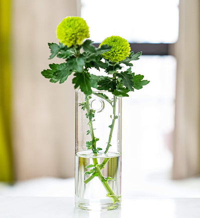 The glass planter terrarium mounted on a wall with a small plant inside, enhancing home office decor.
