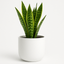 10 inch planter, white ceramic pot, indoor plant pot, ceramic planter with drainage, modern flower pot, minimalist ceramic pot, outdoor planter, drainage plug planter, large ceramic pot, breathable plant pot, unglazed ceramic planter